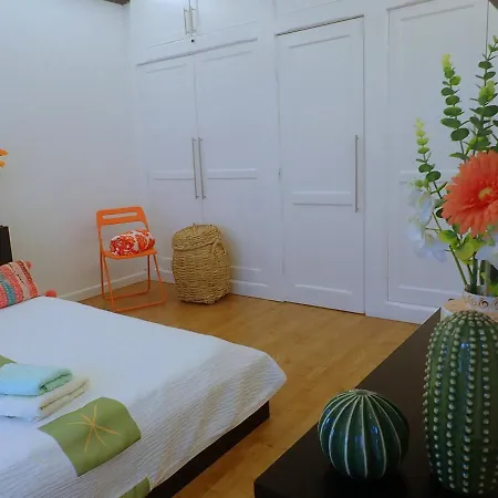 Apartment New Colonyclub