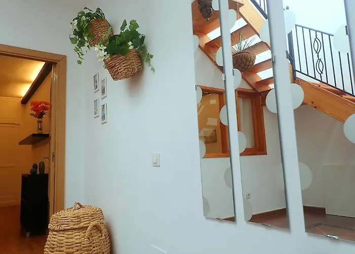 New Colonyclub プエルト・デル・カルメン