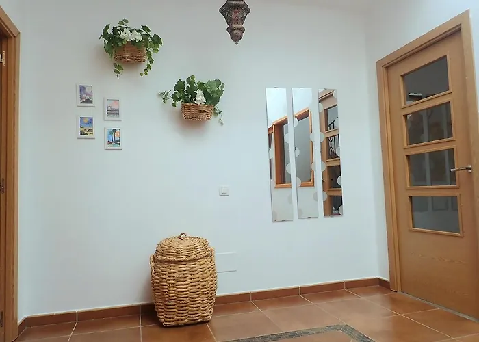 New Colonyclub * プエルト・デル・カルメン