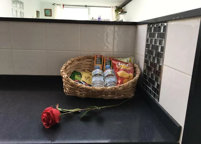 New Colonyclub プエルト・デル・カルメン