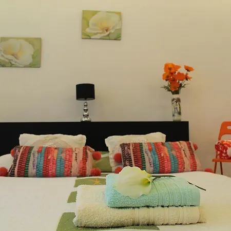 New Colonyclub 푸에르토 델 카르멘